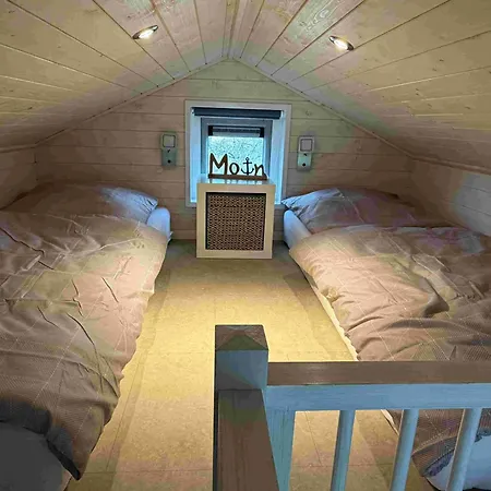Tinychalet-eider